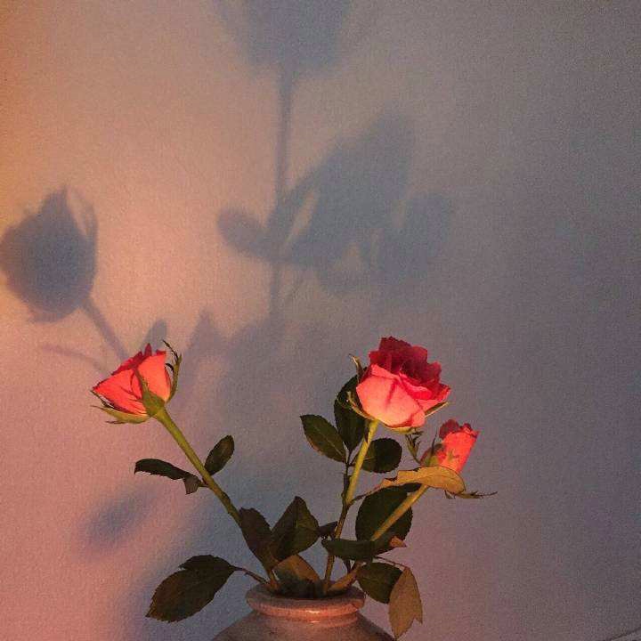 專業(yè)的風(fēng)雨操場(chǎng)地板單層龍骨結(jié)構(gòu)