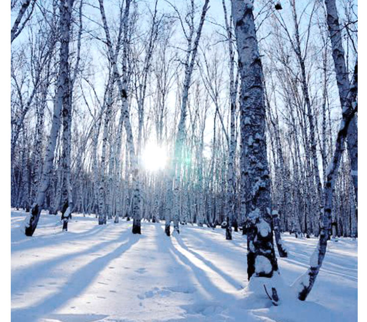 青海體育館球場(chǎng)木地板 體育館球場(chǎng)木地板定制