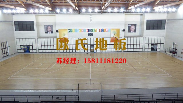 室內(nèi)籃球館專用運(yùn)動(dòng)木地板價(jià)格——?dú)W氏舞臺(tái)木地板